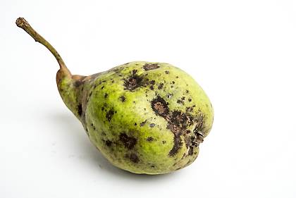 Nyhetsillustrasjon