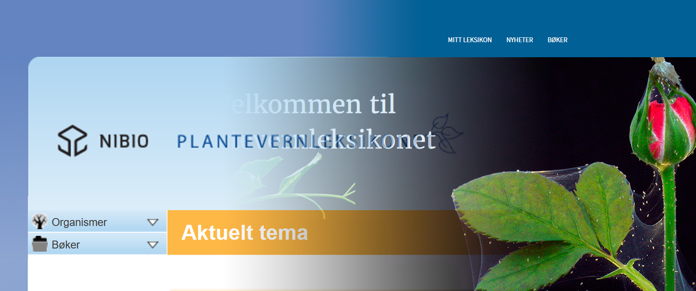 Nyhetsillustrasjon